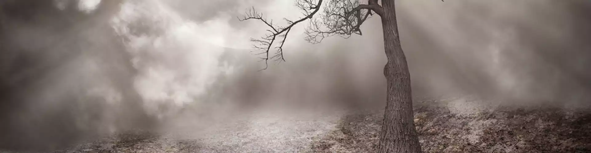 Letting Go of Self-Pity Meditation 4 - Online Class by Danielle Gibbons