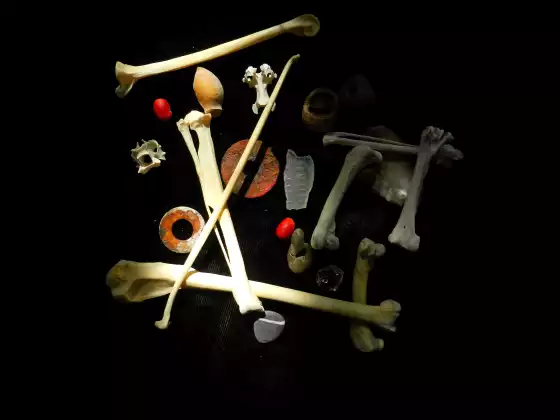 Divination and the Ancient Art of Throwing the Bones