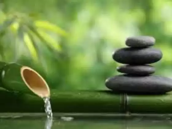 Qigong & Tai Chi: 10 Class Series