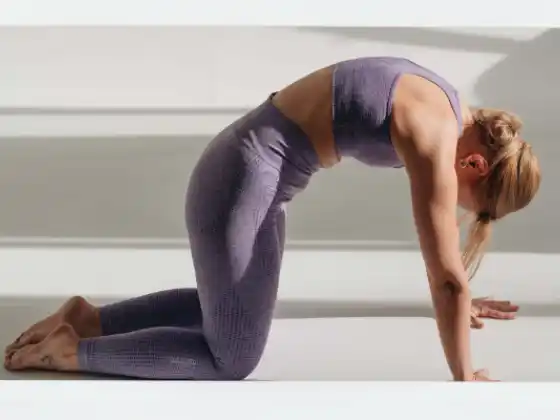 Yoga zur Rückenpflege