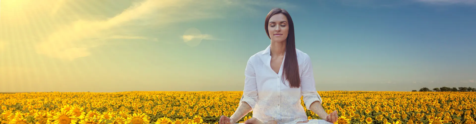 Bundle: Simposio del Solsticio de Verano - Online Course by Learn It Live